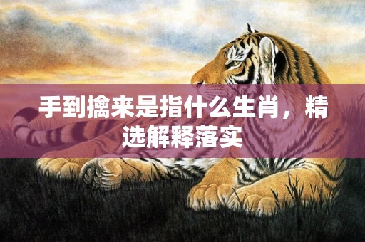 手到擒来是指什么生肖，精选解释落实