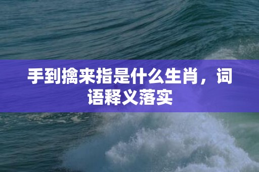 手到擒来指是什么生肖，词语释义落实