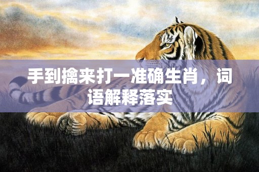 手到擒来打一准确生肖，词语解释落实