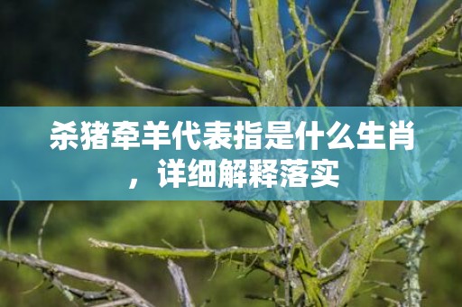 杀猪牵羊代表指是什么生肖，详细解释落实