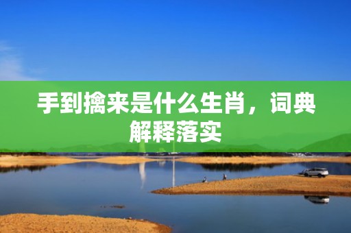手到擒来是什么生肖，词典解释落实