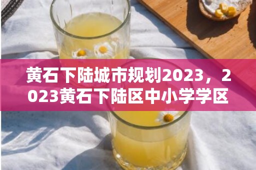 黄石下陆城市规划2023，2023黄石下陆区中小学学区划分