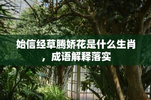 始信经草腾娇花是什么生肖，成语解释落实