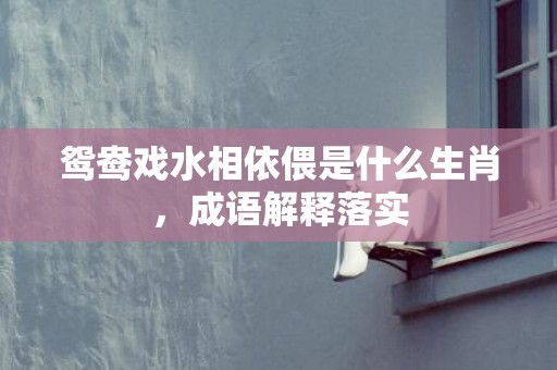 鸳鸯戏水相依偎是什么生肖，成语解释落实