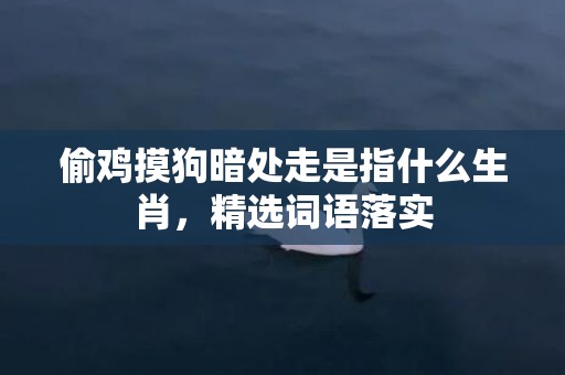 偷鸡摸狗暗处走是指什么生肖，精选词语落实