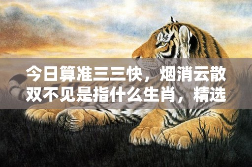 今日算准三三快，烟消云散双不见是指什么生肖，精选词语落实