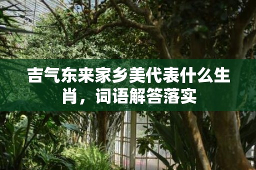 吉气东来家乡美代表什么生肖，词语解答落实