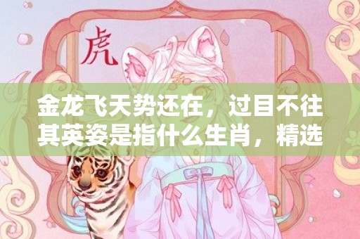 金龙飞天势还在，过目不往其英姿是指什么生肖，精选词语落实