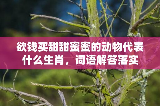 欲钱买甜甜蜜蜜的动物代表什么生肖，词语解答落实