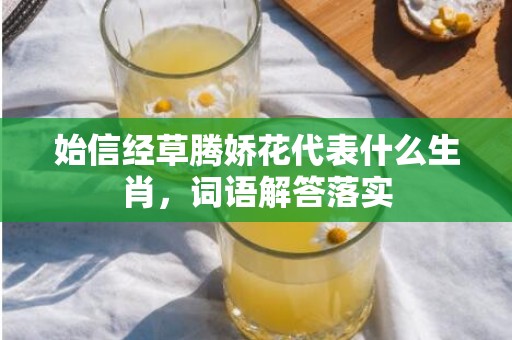 始信经草腾娇花代表什么生肖，词语解答落实
