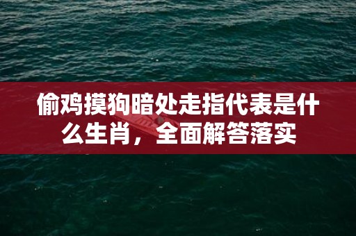偷鸡摸狗暗处走指代表是什么生肖，全面解答落实