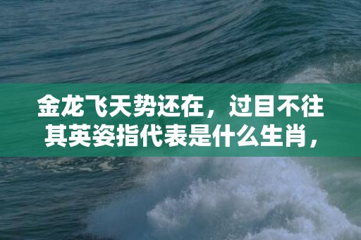 金龙飞天势还在，过目不往其英姿指代表是什么生肖，全面解答落实