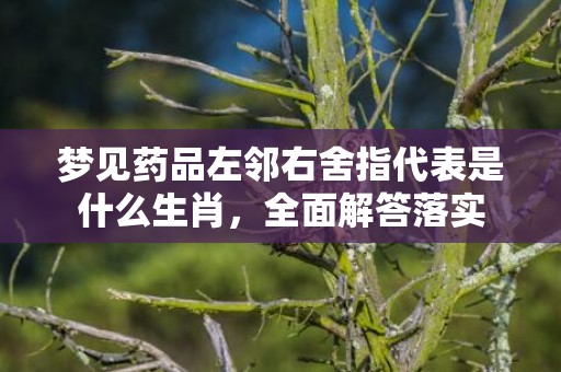 梦见药品左邻右舍指代表是什么生肖，全面解答落实