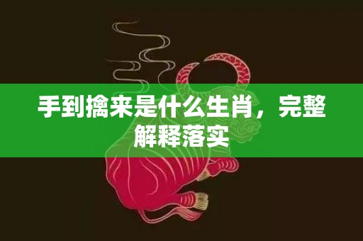 手到擒来是什么生肖，完整解释落实