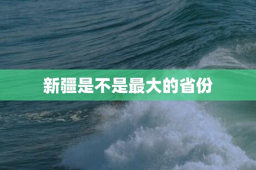 新疆是不是最大的省份