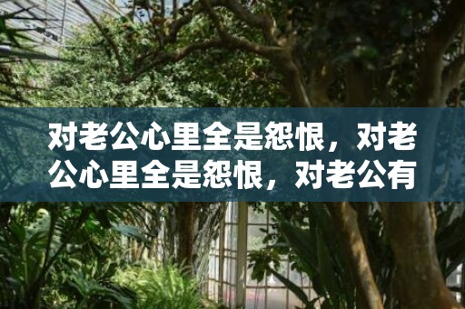 对老公心里全是怨恨，对老公心里全是怨恨，对老公有恨意还能过吗