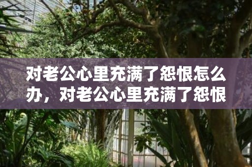 对老公心里充满了怨恨怎么办，对老公心里充满了怨恨怎么办，对丈夫仇恨心太重怎么办