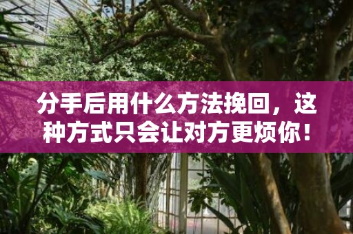 分手后用什么方法挽回，这种方式只会让对方更烦你！