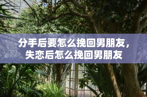 分手后要怎么挽回男朋友，失恋后怎么挽回男朋友