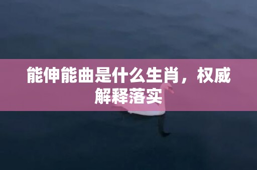 能伸能曲是什么生肖，权威解释落实