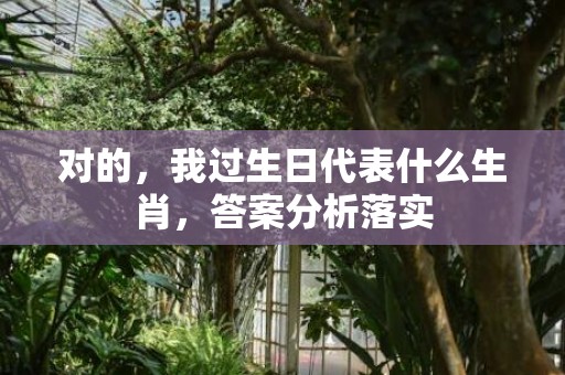 对的，我过生日代表什么生肖，答案分析落实