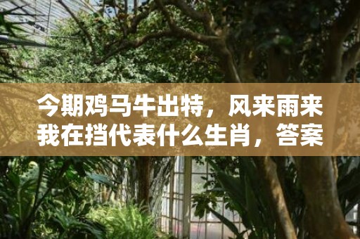 今期鸡马牛出特，风来雨来我在挡代表什么生肖，答案分析落实