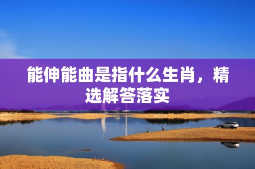 能伸能曲是指什么生肖，精选解答落实