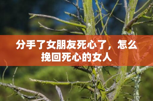 分手了女朋友死心了，怎么挽回死心的女人