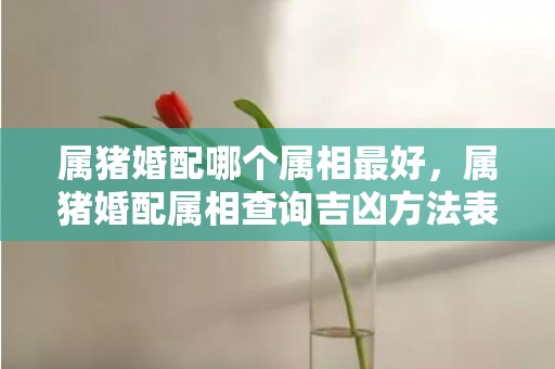 属猪婚配哪个属相最好，属猪婚配属相查询吉凶方法表，婚配属相表大全