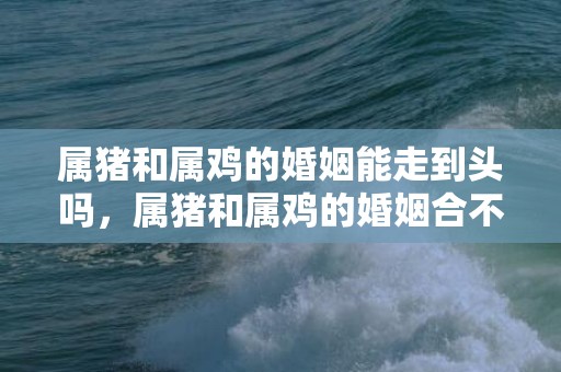属猪和属鸡的婚姻能走到头吗，属猪和属鸡的婚姻合不合适