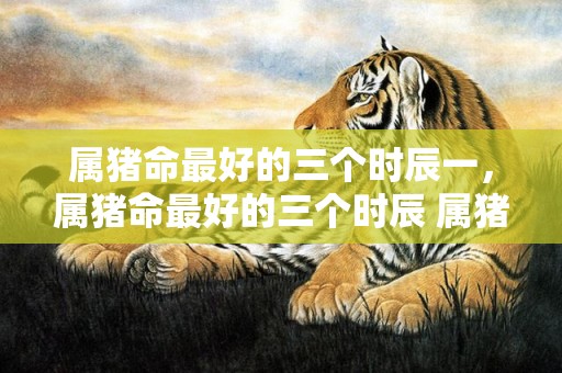 属猪命最好的三个时辰一，属猪命最好的三个时辰 属猪的生辰八字什么时候最好