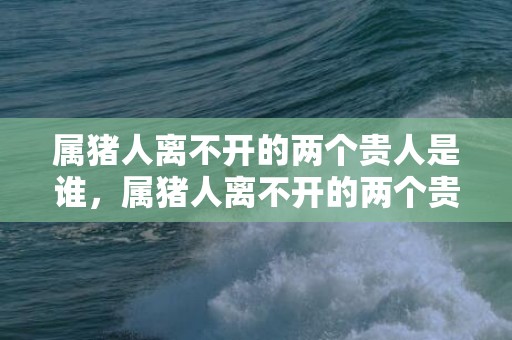 属猪人离不开的两个贵人是谁，属猪人离不开的两个贵人是谁1971年 属猪人今年的贵人是谁