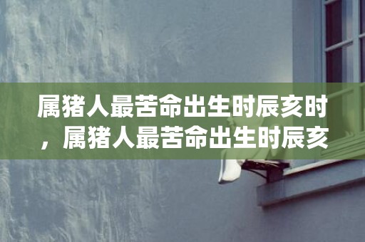 属猪人最苦命出生时辰亥时，属猪人最苦命出生时辰亥时(属猪亥时出生的女孩婚姻)