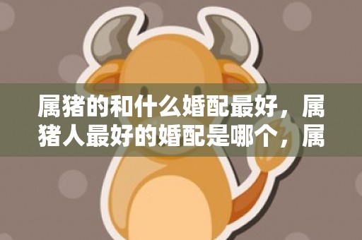 属猪的和什么婚配最好，属猪人最好的婚配是哪个，属猪女命中注定的丈夫