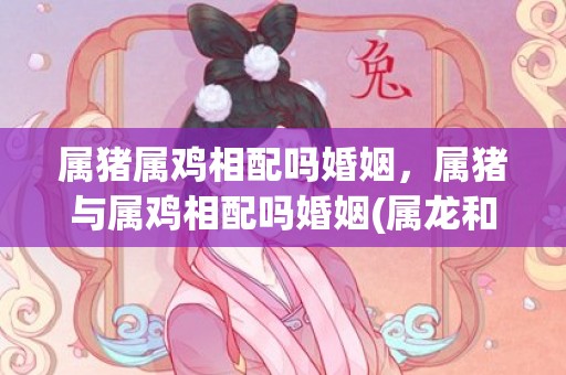属猪属鸡相配吗婚姻，属猪与属鸡相配吗婚姻(属龙和属蛇的婚姻相配吗)