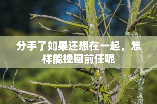 分手了如果还想在一起，怎样能挽回前任呢