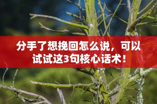 分手了想挽回怎么说，可以试试这3句核心话术！