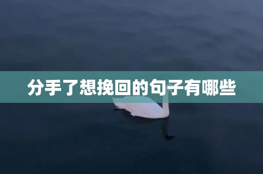 分手了想挽回的句子有哪些