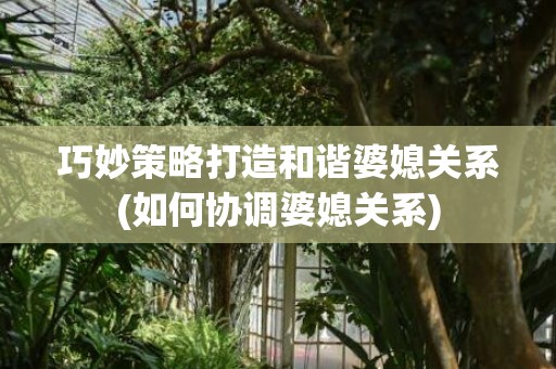 巧妙策略打造和谐婆媳关系(如何协调婆媳关系)