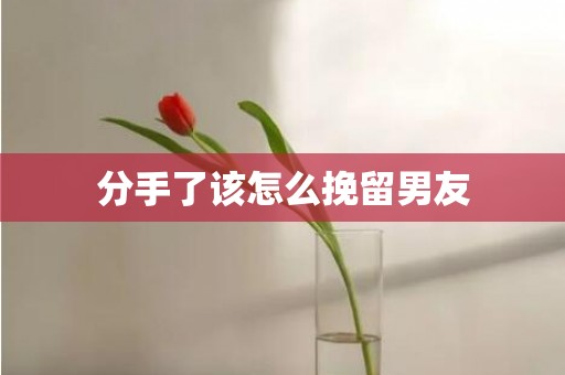 分手了该怎么挽留男友