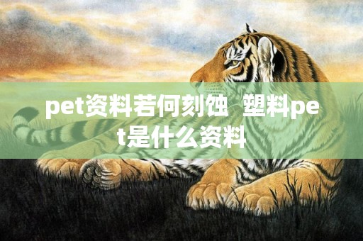 pet资料若何刻蚀  塑料pet是什么资料