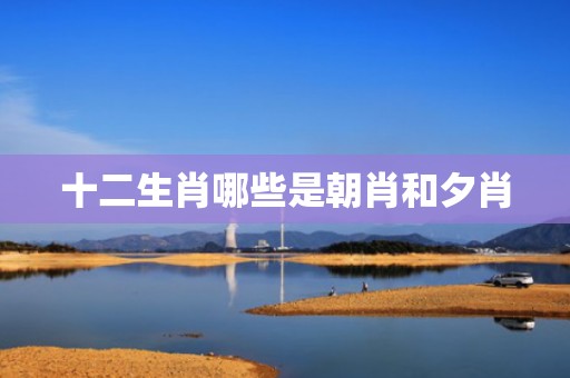 十二生肖哪些是朝肖和夕肖