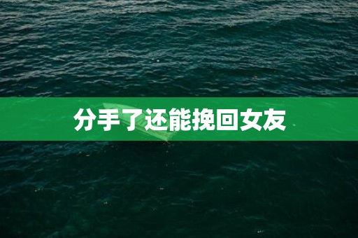 分手了还能挽回女友