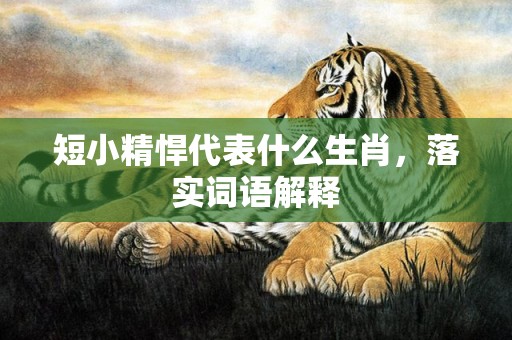 短小精悍代表什么生肖，落实词语解释