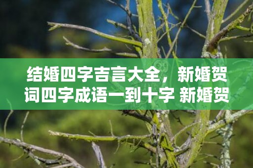 结婚四字吉言大全，新婚贺词四字成语一到十字 新婚贺语