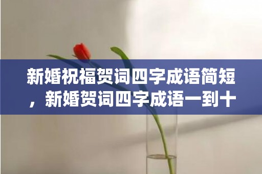 新婚祝福贺词四字成语简短，新婚贺词四字成语一到十句(庆祝新婚的四字词语)
