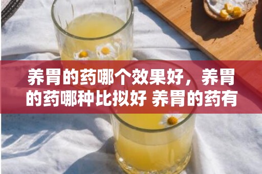 养胃的药哪个效果好，养胃的药哪种比拟好 养胃的药有哪些