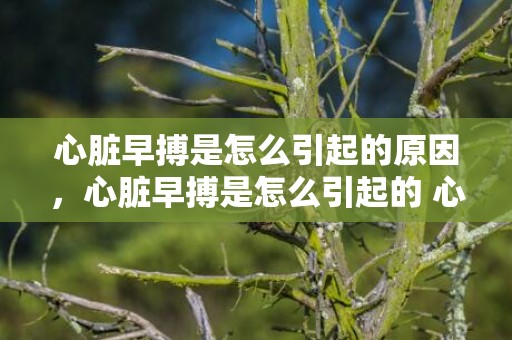 心脏早搏是怎么引起的原因，心脏早搏是怎么引起的 心脏早搏是怎么引起的