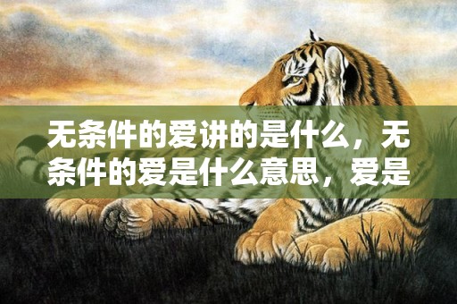 无条件的爱讲的是什么，无条件的爱是什么意思，爱是无条件的吗