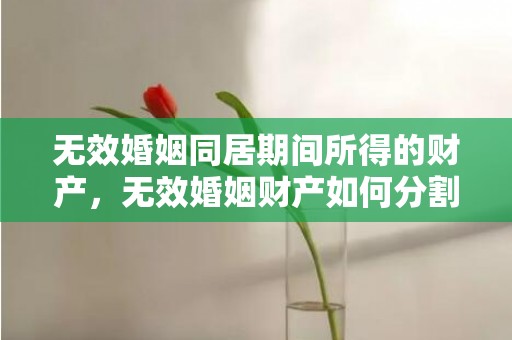 无效婚姻同居期间所得的财产，无效婚姻财产如何分割
